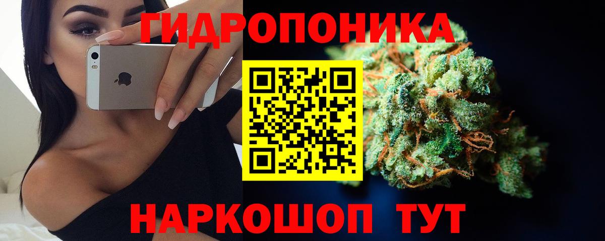 Марихуана ГИДРОПОН  Вход с VPN  Бошки марихуана тримм  Бошки марихуана гибрид  Бошки марихуана гибрид  Каменск-Уральский 